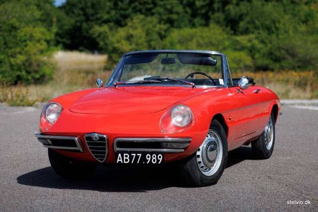 Afbeelding 1/37 van Alfa Romeo 1600 Spider Duetto (1966)