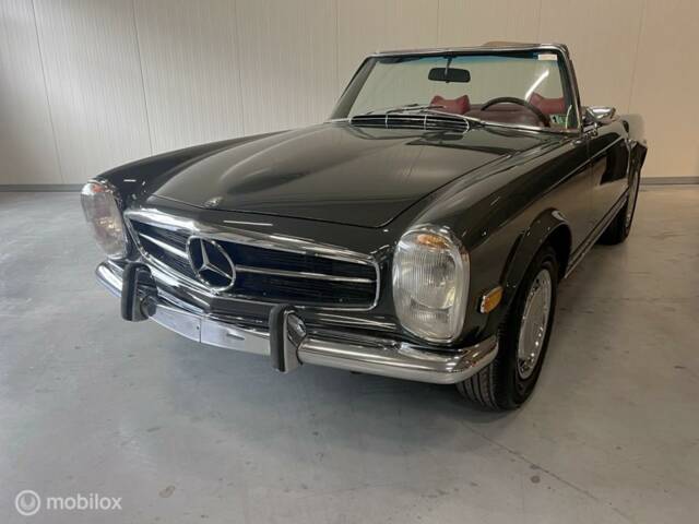 Imagen 1/40 de Mercedes-Benz 280 SL (1970)