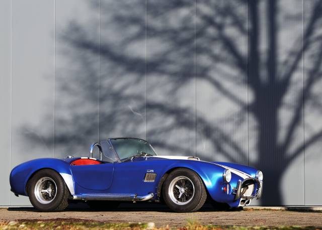 Image 1/41 of Mohr Cobra (1989)