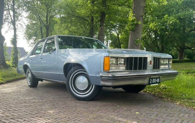 Afbeelding 1/8 van Oldsmobile Delta 88 Royale (1979)