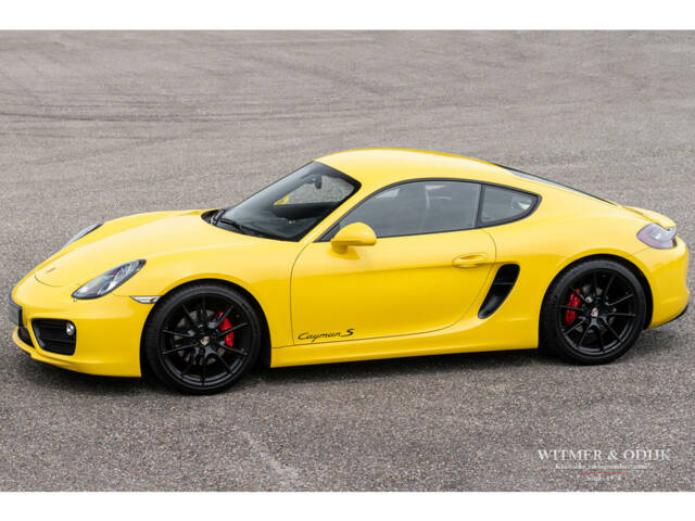 Immagine 1/47 di Porsche Cayman S (2013)
