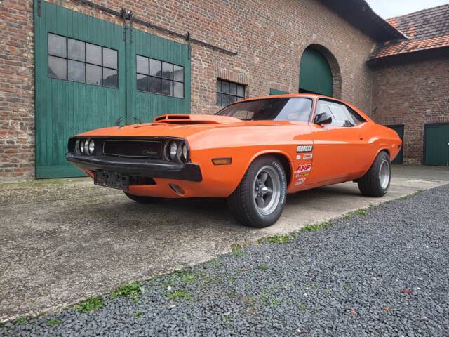 Image 1/46 de Dodge Challenger R/T 440 Six-Pack (1970)