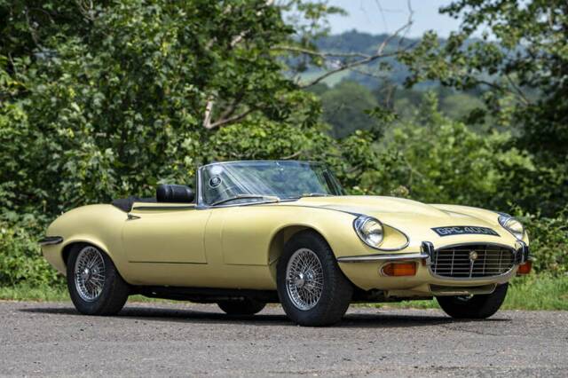 Image 1/50 de Jaguar Type E V12 (1973)