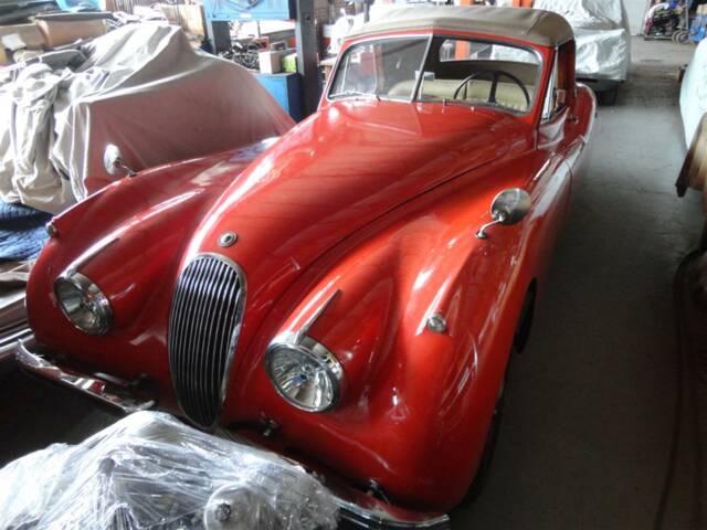 Immagine 1/46 di Jaguar XK 120 DHC (1954)
