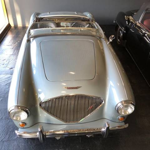 Bild 1/49 von Austin-Healey 100&#x2F;4 (BN1) (1954)