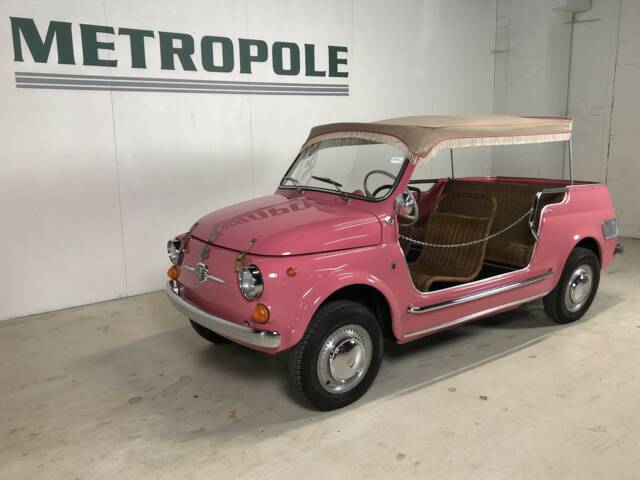 Bild 1/26 von FIAT 500 Giardiniera (1966)