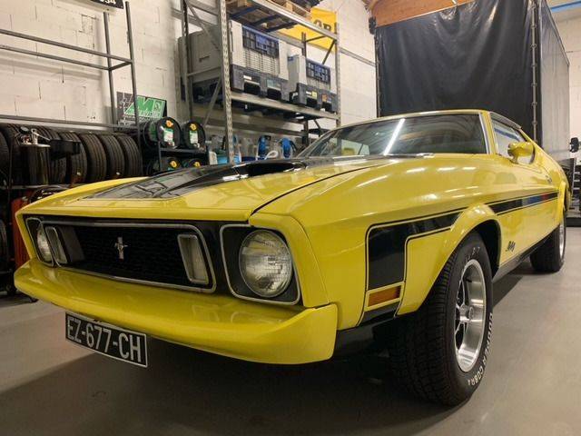 Afbeelding 1/8 van Ford Mustang Mach 1 (1973)