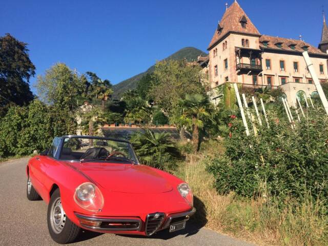 Afbeelding 1/12 van Alfa Romeo 1750 Spider Veloce (1969)