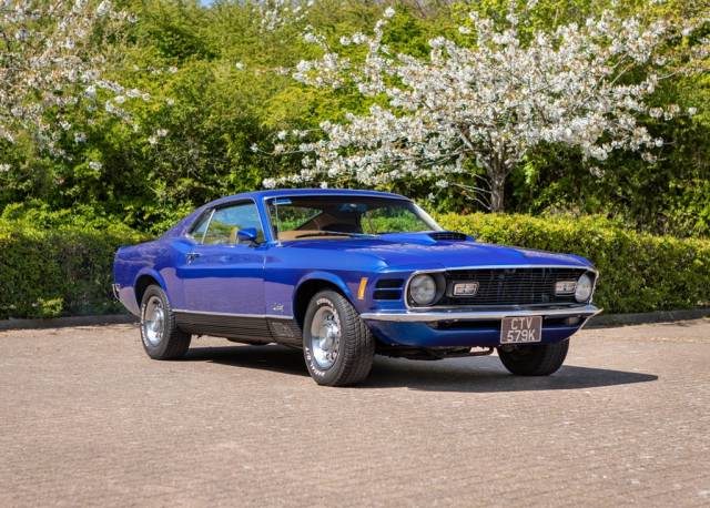 Bild 1/20 von Ford Mustang Mach 1 (1970)