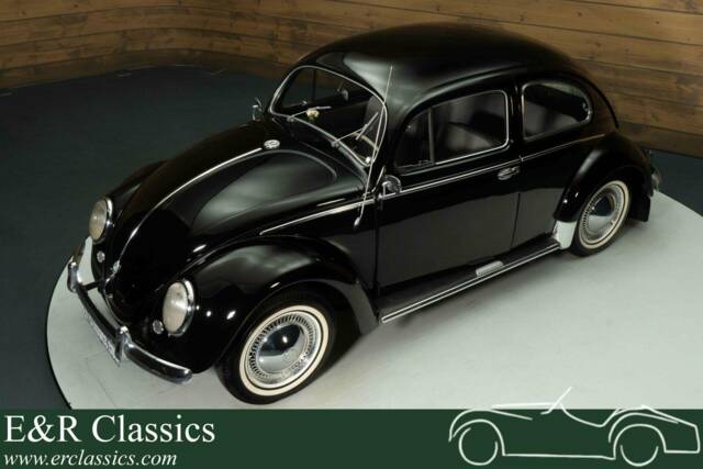 Bild 1/19 von Volkswagen Käfer 1100 Standard (Brezel) (1952)