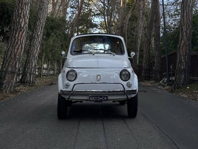 Afbeelding 1/6 van FIAT 500 L (1969)