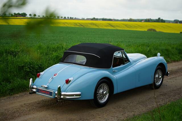 Bild 1/21 von Jaguar XK 140 SE DHC (1955)