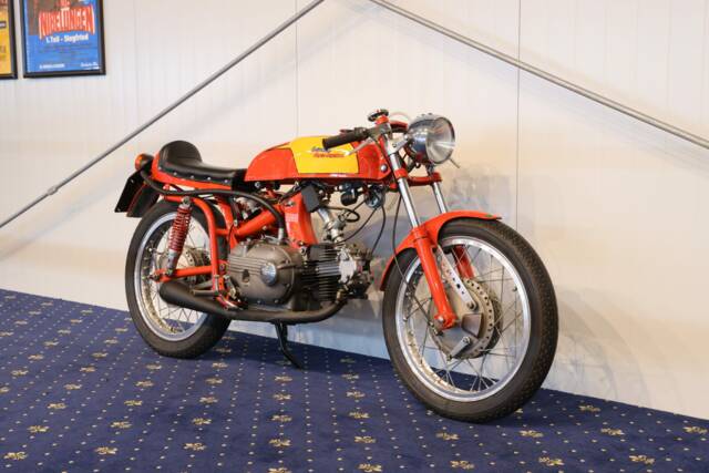 Image 1/27 of Aermacchi Ala Verde (1962)