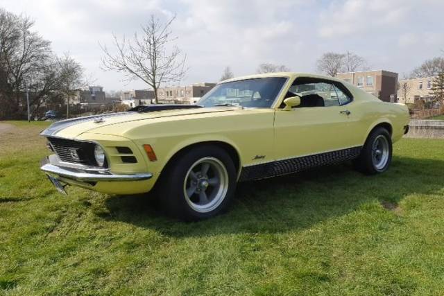 Bild 1/9 von Ford Mustang Mach 1 (1970)