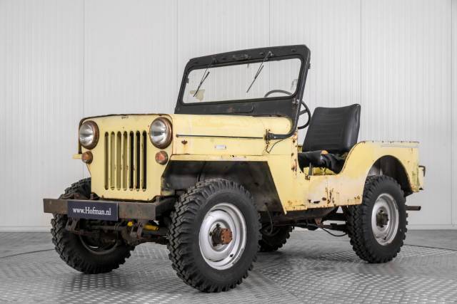 Bild 1/50 von Willys CJ-3B (1955)