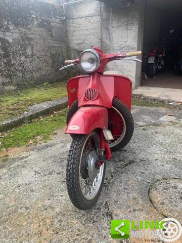 Image 1/6 of Moto Guzzi DUMMY (1965)