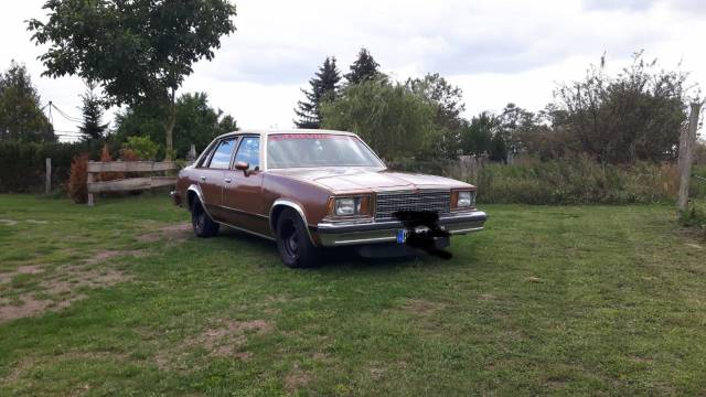 Image 1/15 of Chevrolet Malibu Classic Sedan (1979)