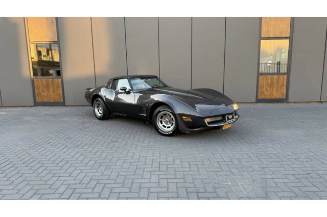 Bild 1/14 von Chevrolet Corvette Sting Ray (1981)