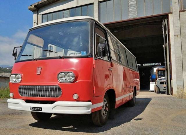 Bild 1/6 von FIAT 625N Bus (1970)