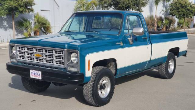 Image 1/20 of Chevrolet C10 Stepside (1979)