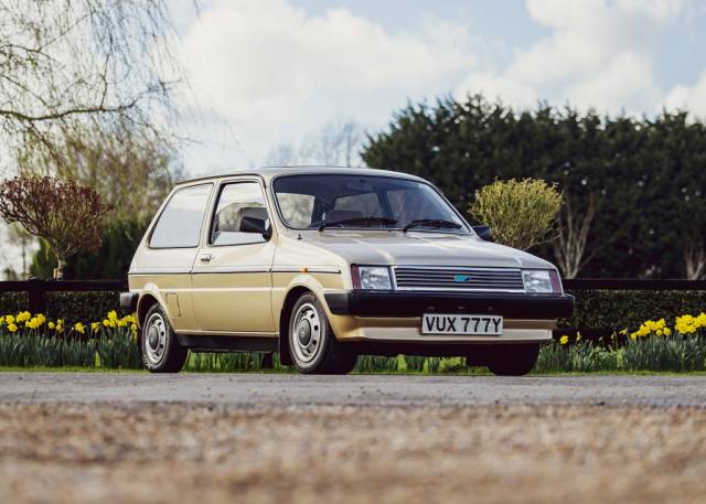 Immagine 1/18 di Austin Metro (1983)