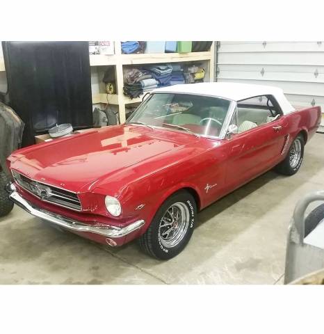 Bild 1/8 von Ford Mustang 289 (1964)
