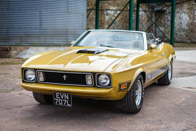 Bild 1/8 von Ford Mustang 351 (1973)