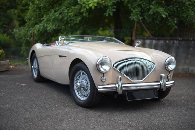 Image 1/5 de Austin-Healey 100/4 (BN1) (1954)