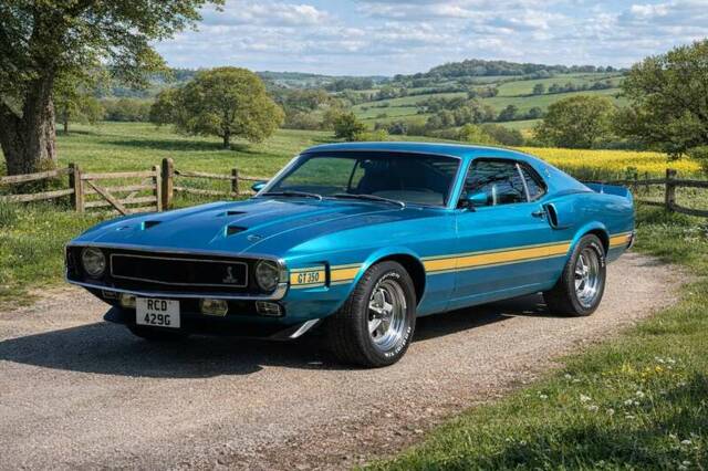 Imagen 1/7 de Ford Shelby GT 350 (1969)