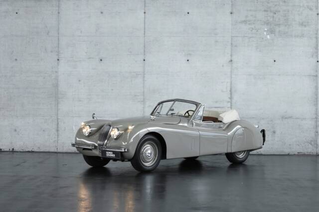 Bild 1/50 von Jaguar XK 120 DHC (1953)