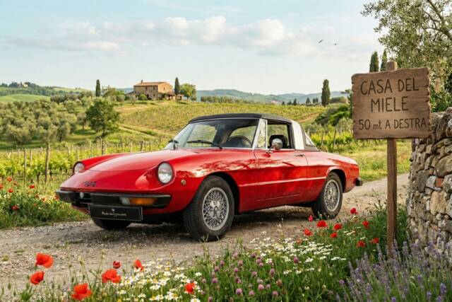 Afbeelding 1/50 van Alfa Romeo 1600 Spider (1972)