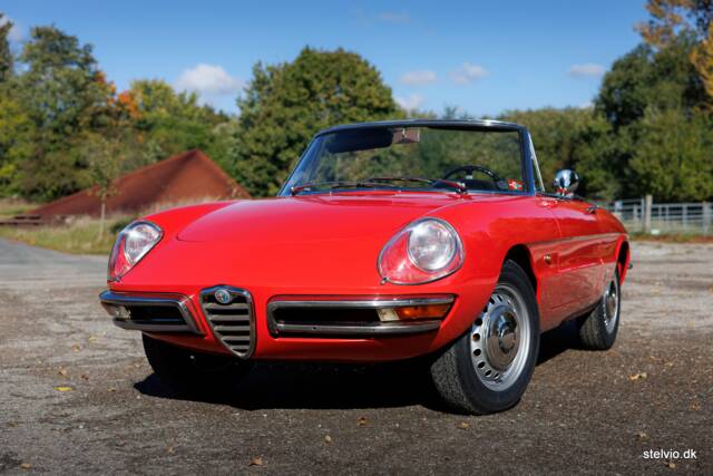 Image 1/50 of Alfa Romeo 1600 Spider Duetto (1967)