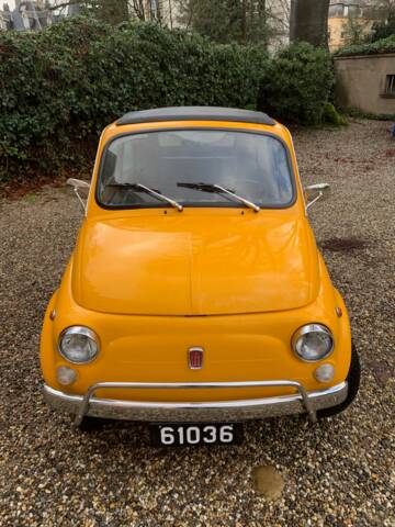 Afbeelding 1/53 van FIAT 500 L (1969)