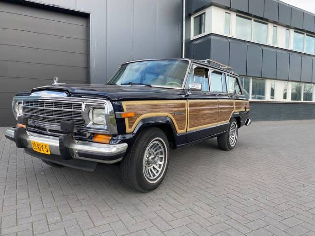 Bild 1/9 von Jeep Grand Wagoneer (1991)