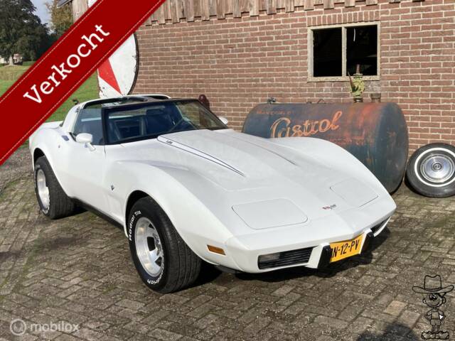 Image 1/50 of Chevrolet Corvette Sting Ray (1979)