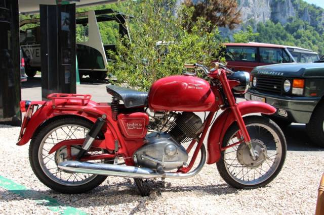 Bild 1/14 von Moto Guzzi DUMMY (1963)