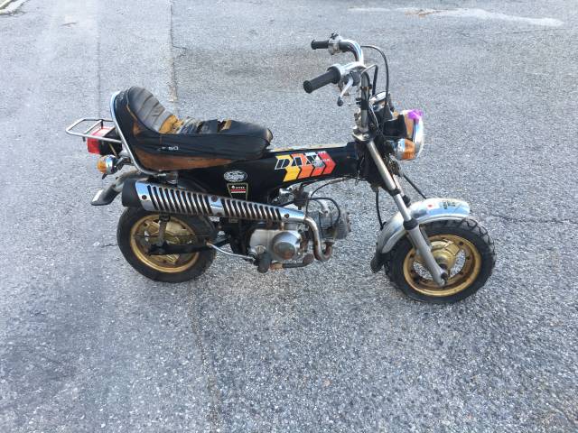 Bild 1/6 von Honda DUMMY (1982)