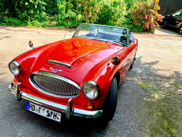 Bild 1/9 von Austin-Healey 3000 Mk III (BJ8) (1965)