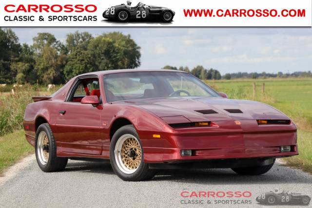 Bild 1/50 von Pontiac Firebird TransAm GTA (1987)
