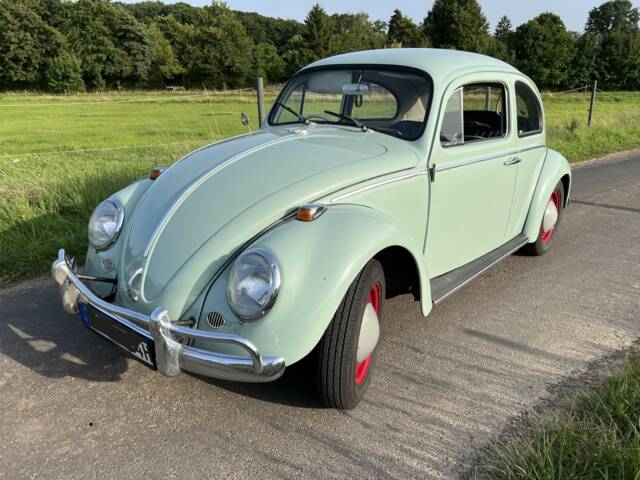 Bild 1/9 von Volkswagen Käfer 1200 (1964)