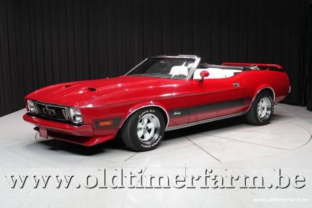 Bild 1/15 von Ford Mustang 351 (1973)