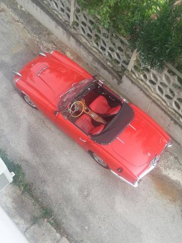 Image 1/15 of Sabra Sport (1965)