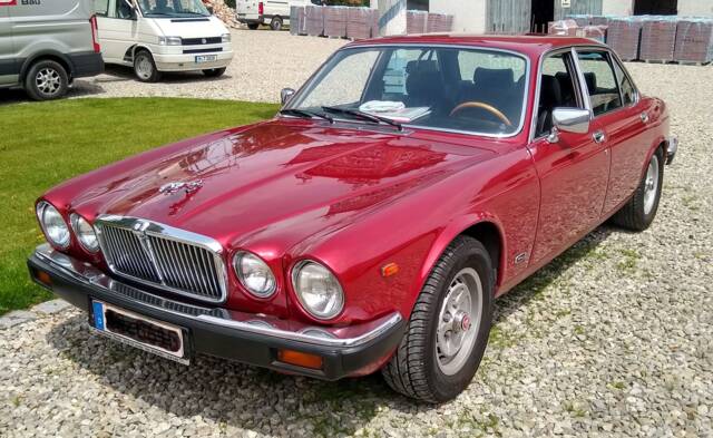 Image 1/14 of Jaguar XJ 12 (1981)