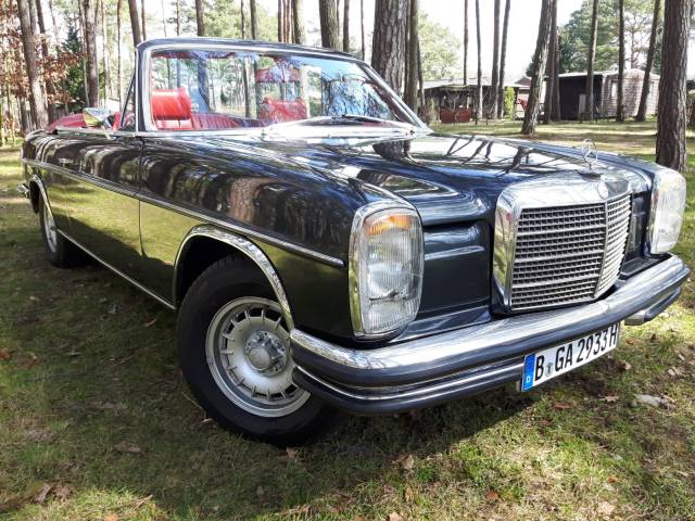 250 CE