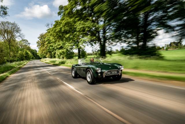 Image 1/39 of AC Cobra 289 (1964)