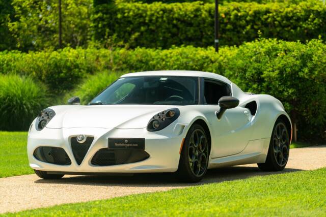 Bild 1/50 von Alfa Romeo 4C (2014)