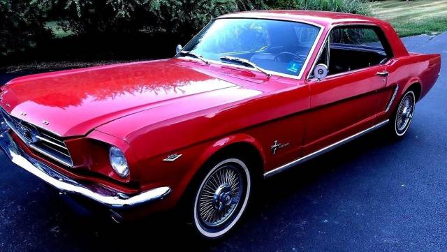 Bild 1/10 von Ford Mustang 289 (1964)