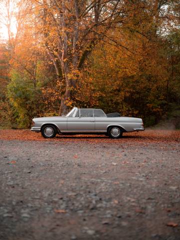 Image 1/16 of Mercedes-Benz 280 SE 3,5 (1970)