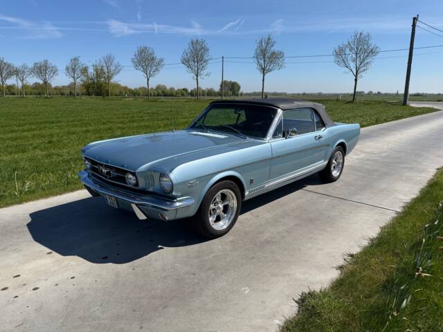 Bild 1/99 von Ford Mustang 289 (1965)