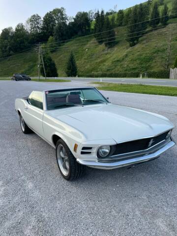 Afbeelding 1/11 van Ford Mustang 351 (1970)